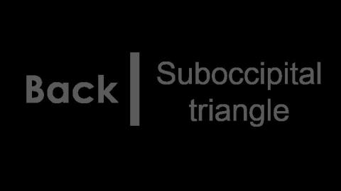 1202 & 1203 第一組 Back muscle & Suboccipital triangle After 2.MP4