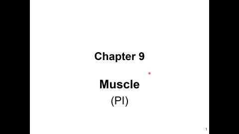 Chapter 09_PI.mp4