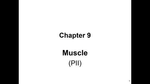 Chapter 09_PII.mp4