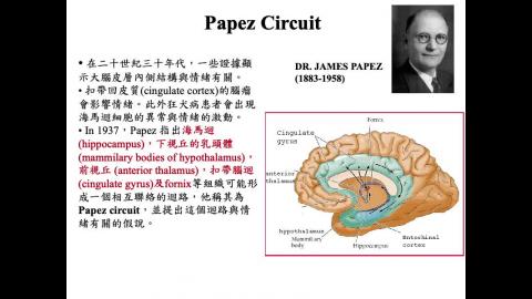 生理心理學_Emotion (2021-12-14, Part 3)