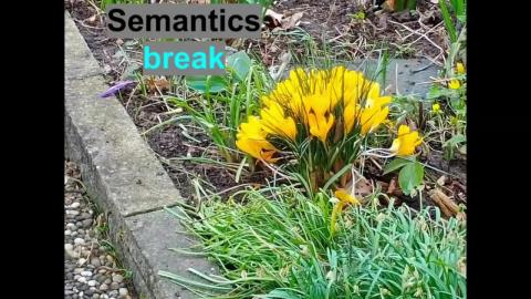 Semantics & Phonetics-2.mp4