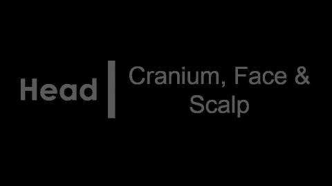 1220 第一組 Face After 完整版2.MP4