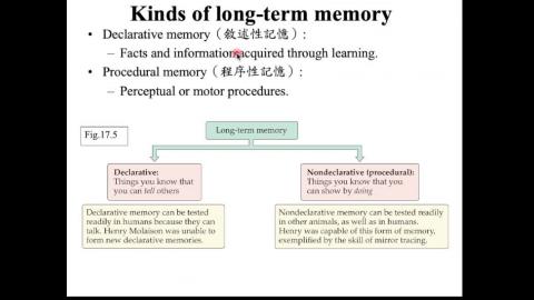 生理心理學_Learning (2021-12-28, Part 3)