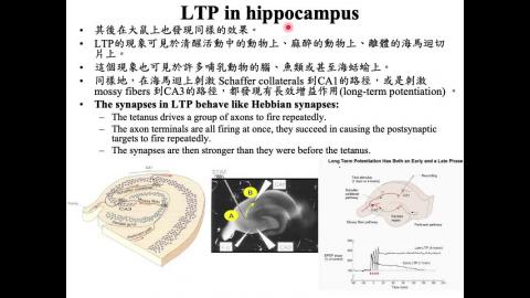 生理心理學_Learning (2022-01-04, Part 3)