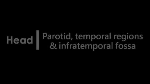1228 第一組 Parotid, temporal regions & infratemporal fossa After.MP4