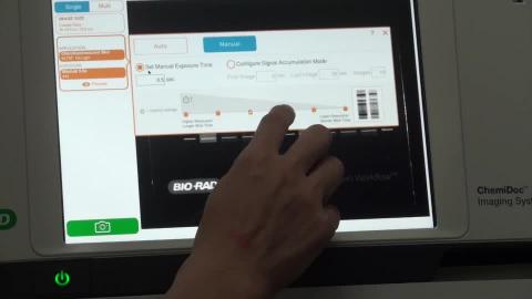 BioRad冷光影像分析系統 實作2