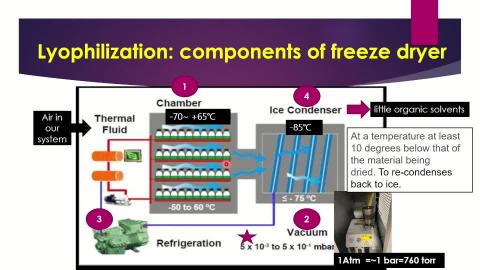 凍乾機原理3