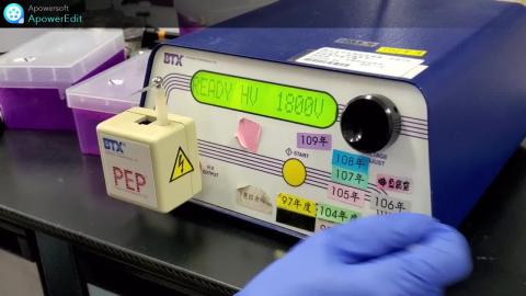 電脈衝導入技術 電穿孔 實作_2