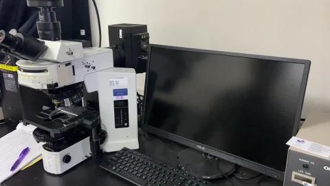 細胞影像分析操作（89915 OLYMPUS）螢光顯微鏡實作1