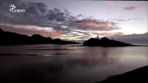 01 昆蟲小宇宙.mp4