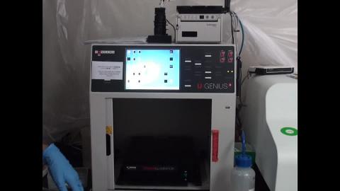 膠體影像分析技術（89915）UV照膠系統教學