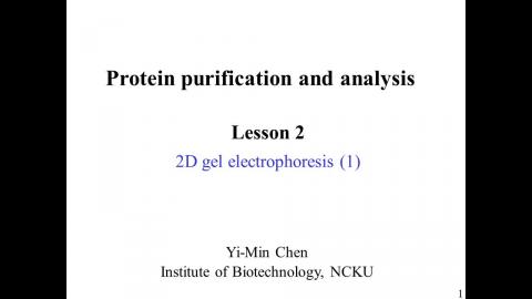 蛋白質: 2D electrophoresis (1) - 中文版