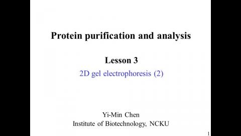 蛋白質: 2D gel electrophoresis (2) - 中文版 220301