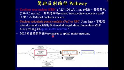 學習記憶神經生物學_week03_Ch2_Elicited Behavior(3/3)