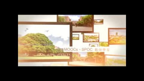 台海保衛戰的秘密武器.flv