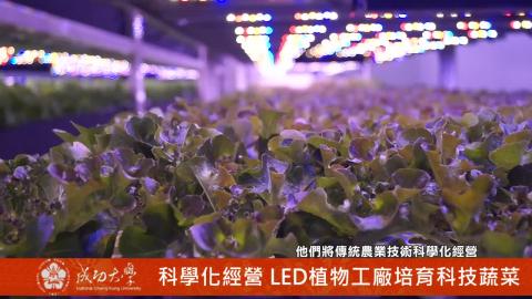 【影音】無農藥無污染 蔬食樂打造新科技蔬菜