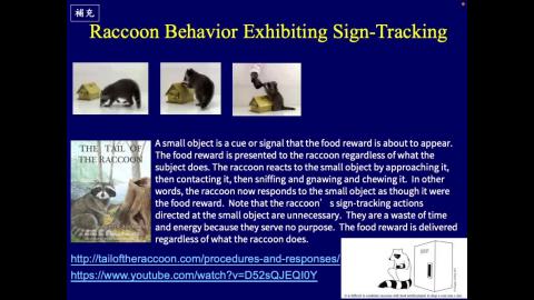學習記憶神經生物學_week04_Ch3_Classical Conditioning (1) (2/3)