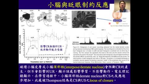學習記憶神經生物學_week04_Ch3_Classical Conditioning (1) (3/3)