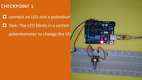 analogin checkpoint 1 demo