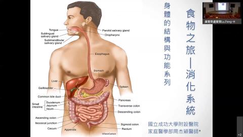 2022.03.21胃腸消化道-營養吸收與廢物排泄-20220321 0709-1.mp4
