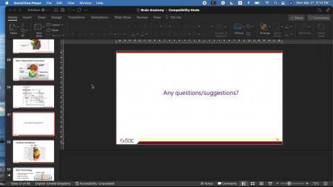 Brain Anatomy II.mov