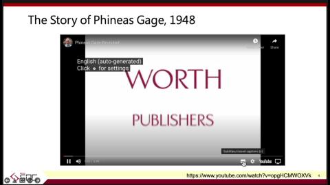 Brain Anatomy III.mp4