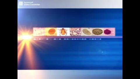 醫學寄生蟲學實驗指導上.mp4