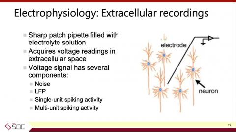 Brain Functions Methods and Disorders II.mov
