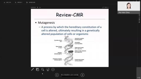 ETL4-20220324-Absorption.mov