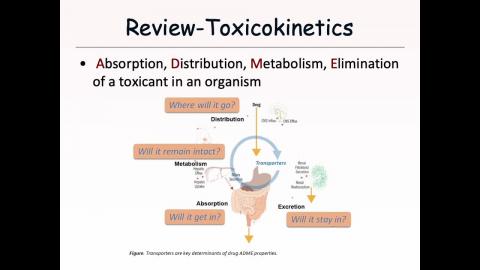 ETL5-20220331-Distribution.mp4