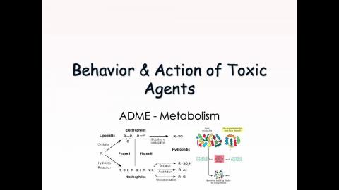ETL5-20220331-Metabolism.mov