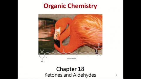 Org Chem 2_week 2_2nd+3rd hour
