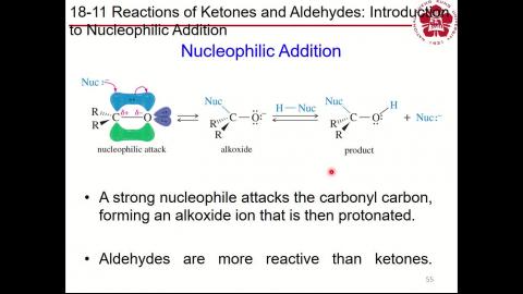 Org Chem 2_week 3_1st+2nd hour