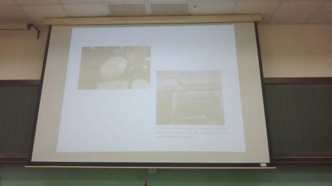 0407 寶石礦物學 下.mp4