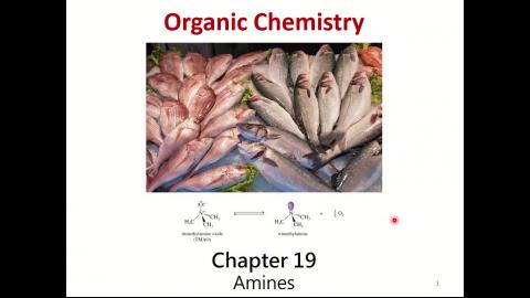 Org Chem 2_week 3_3rd hour