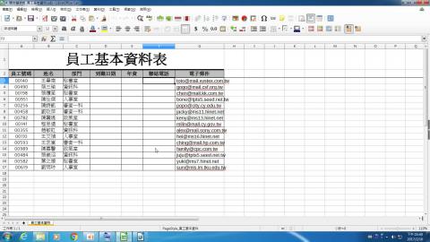 範例1. 套用電話格式-設定格式