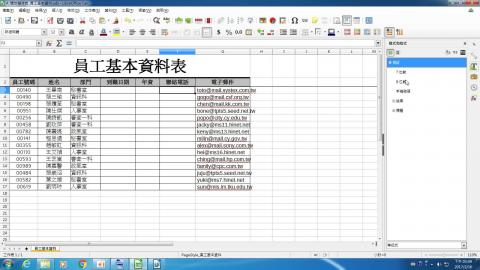 範例1. 套用電話格式-設定條件