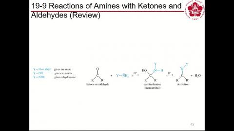 Org Chem 2_week 4_1/2
