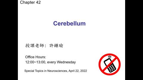 神經科學特論 Cerebellum