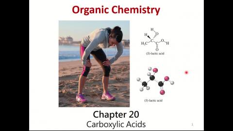 Org Chem 2_week 5_1/2