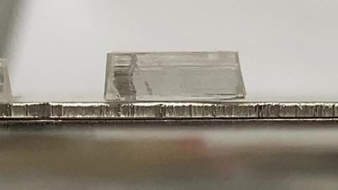 trim.7964A1A2-F04D-42DD-BE20-D3A7A99CD1E9.MOV