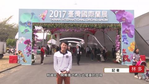 【影音】國際蘭展登場 總統親臨開幕典禮  (交管107林多 採訪報導)
