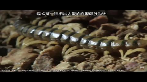 1102TIDL(課調老師:張雅雯教授)_建築系郭佳曄_蜈蚣