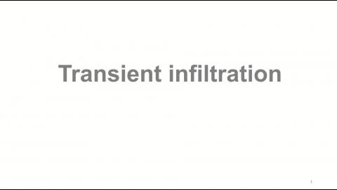 Transient infiltration-20220504.mp4