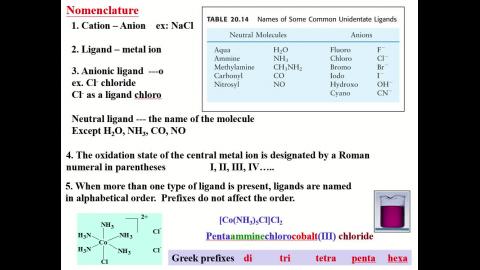 Media2_Nomenclature.mp4