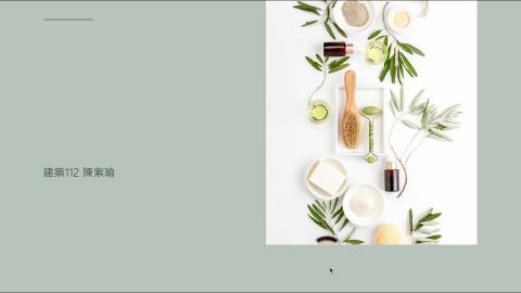 1102TIDL(課調老師:張雅雯教授)_建築系陳紫瑜_殺蟲劑