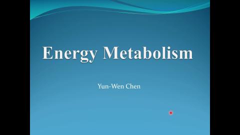 energy metabolism.mp4