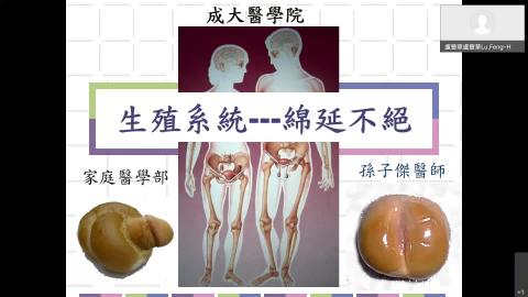 2022.05.09生殖系統-綿延不絕-20220509 0654-1.mp4