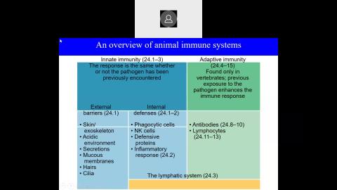 2022 05 17-The Blood and Body Defenses-2.mp4