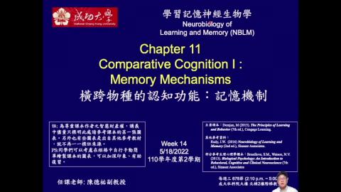 學習記憶神經生物學_week14_Ch11_Memory (1/3)